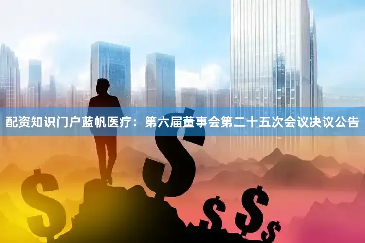 配资知识门户蓝帆医疗：第六届董事会第二十五次会议决议公告