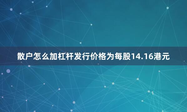 散户怎么加杠杆发行价格为每股14.16港元