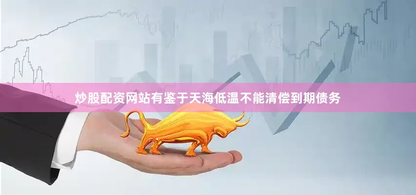 炒股配资网站有鉴于天海低温不能清偿到期债务
